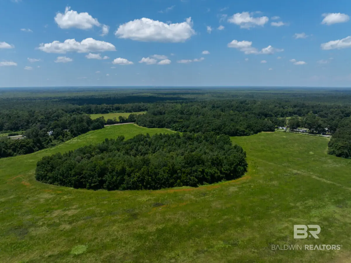0 State Highway 225, Bay Minette, AL 36507 - #1