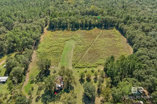 512 Old Silvers Rd, Vinegar Bend, AL 36584