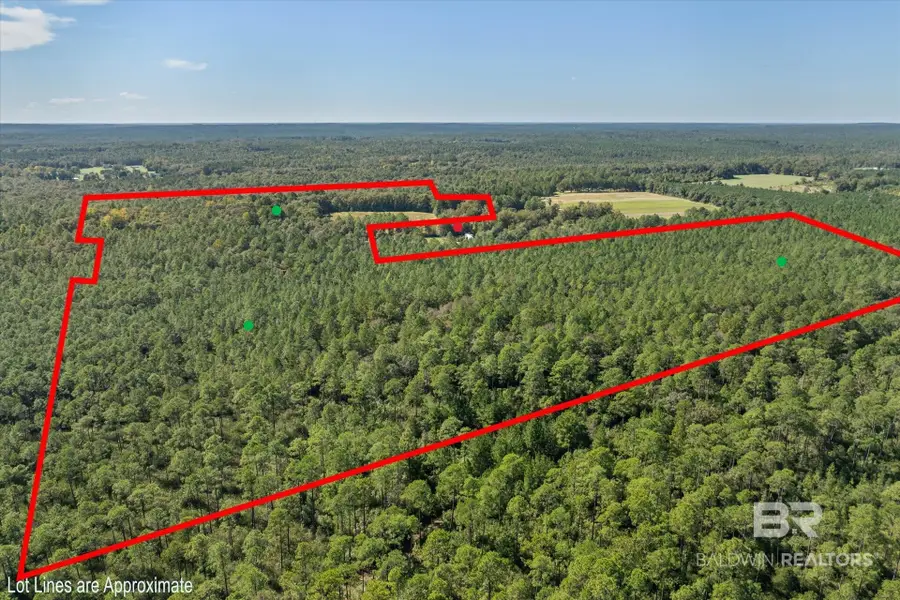 512 Old Silvers Rd, Vinegar Bend, AL 36584 - #2