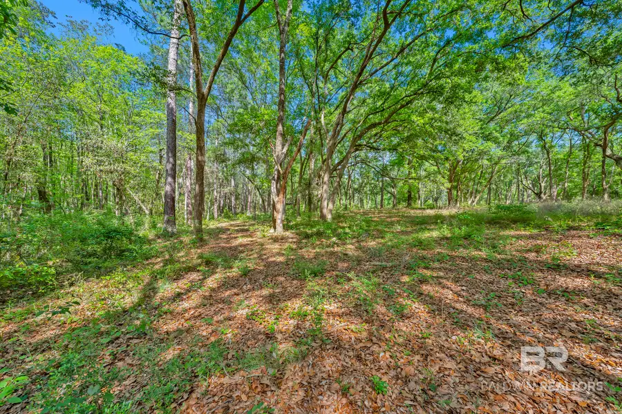 22575 County Road 38, Summerdale, AL 36580 - #3