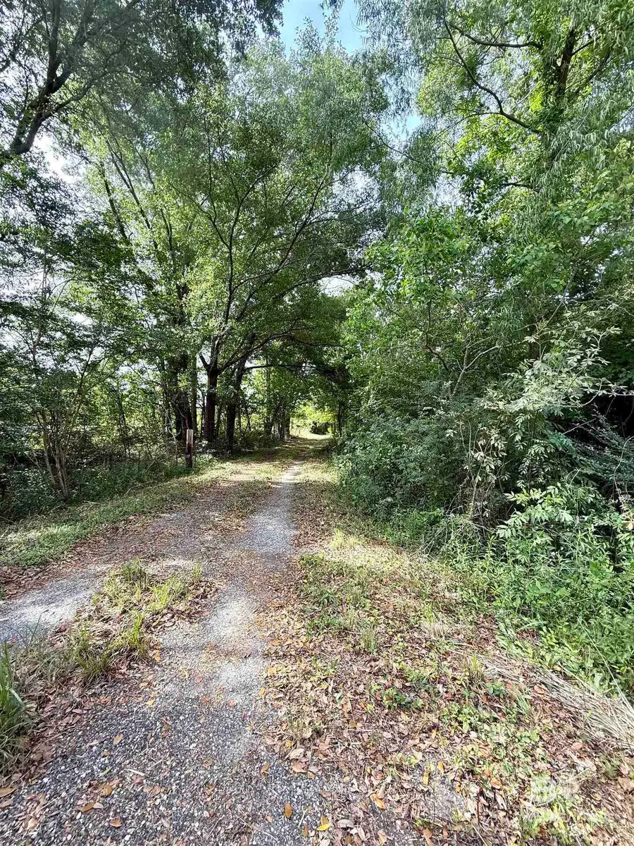 19160 County Road 68, Robertsdale, AL 36567 - #3