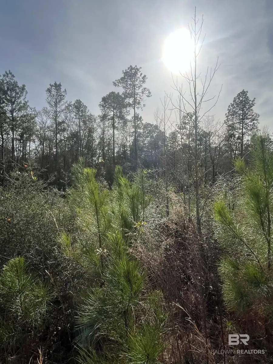 0 Jimmy Faulkner Drive, Spanish Fort, AL 36527 - #2