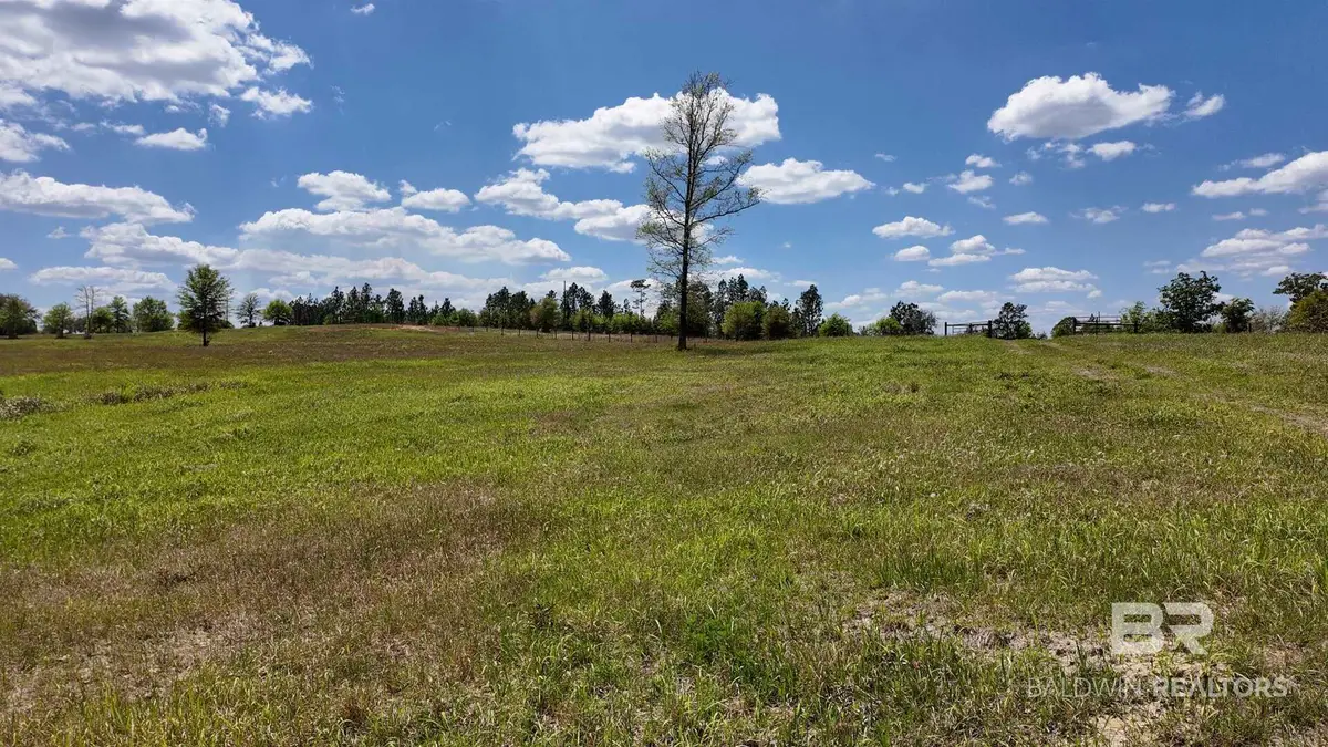 0 Powell Road, Eight Mile, AL  - #1