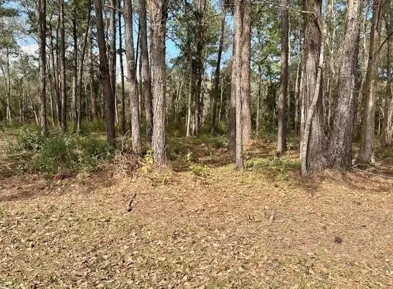 3527 Scenic Drive, Mobile, AL 36605 - Image #2