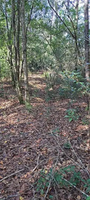 #1