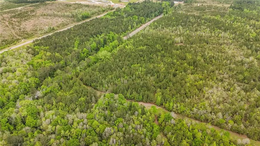 20100 Highway 43 N, Mount Vernon, AL 36560 - #3
