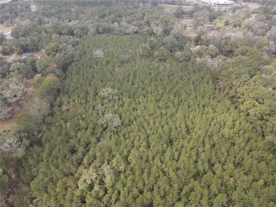 0 Baldwin Street, Satsuma, AL 36572 - #3
