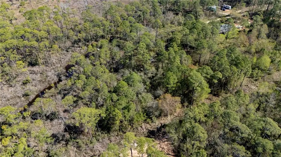 0 Michigan Avenue, Coden, AL 36523 - Image #2