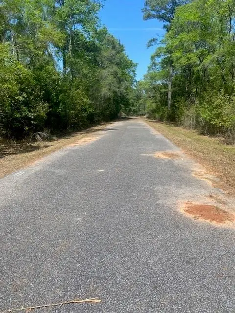 3851 River Road, Theodore, AL 36582 - #3