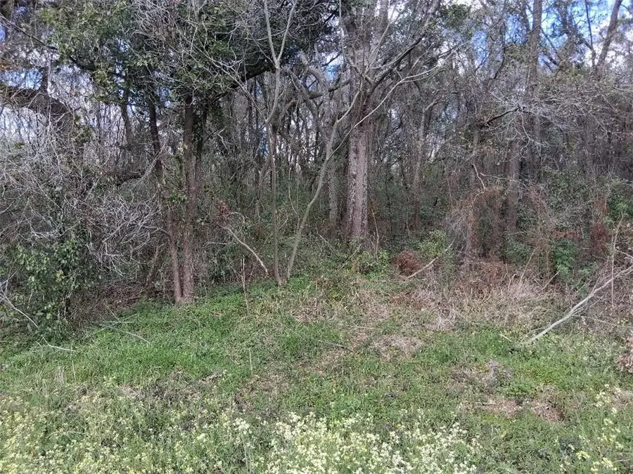 0 Lawson Rd Extension, Grand Bay, AL 36541 - #3