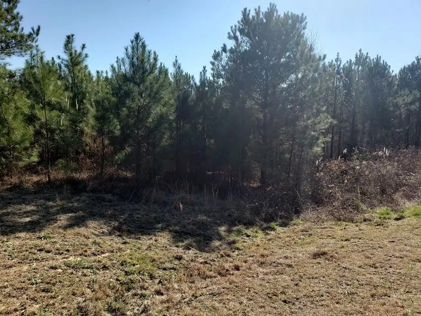 0 Stillwater Lane, Double Springs, AL 35553 - #1