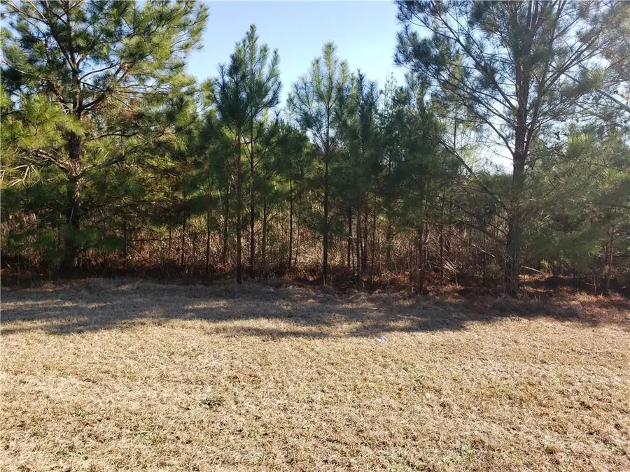 0 Stillwater Lane, Double Springs, AL 35553 - #3