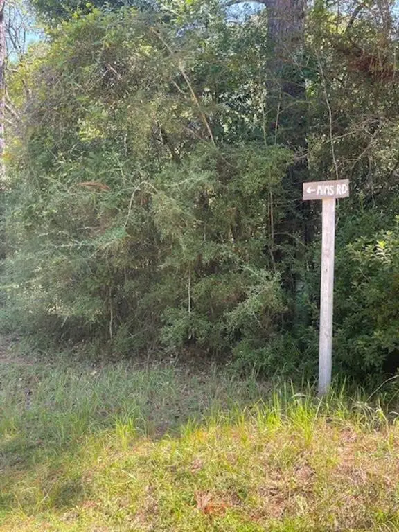 0 Mims Road, Chunchula, AL 36521 - #2