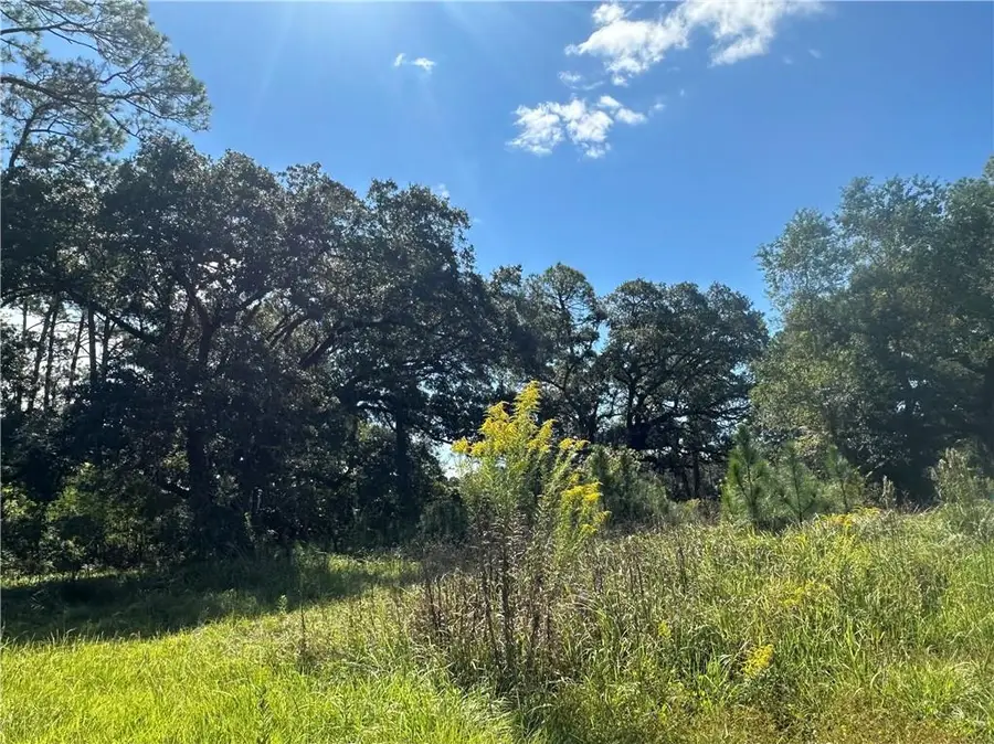 8916 Alba Street W, Bayou La Batre, AL 36509 - Image #3