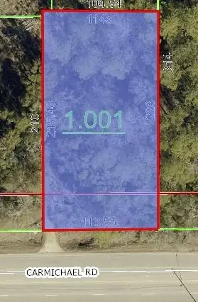 0 Carmichael Road, Montgomery, AL 36106 - Image #2