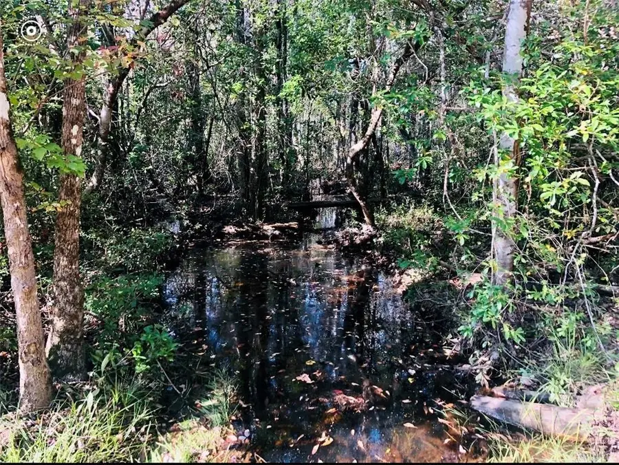 0 Thompson Road, Stockton, AL 36579 - Image #2