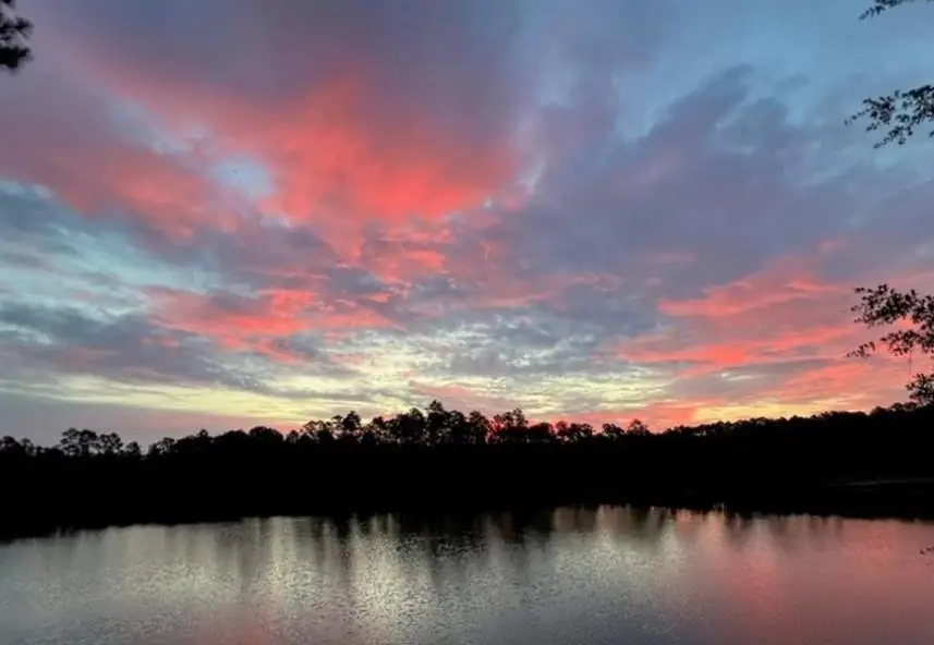 0 Highway 90, Grand Bay, AL 36541 - Image #2