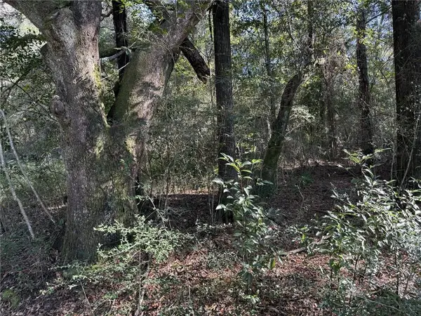 0 Sands Drive, Mobile, AL 36695