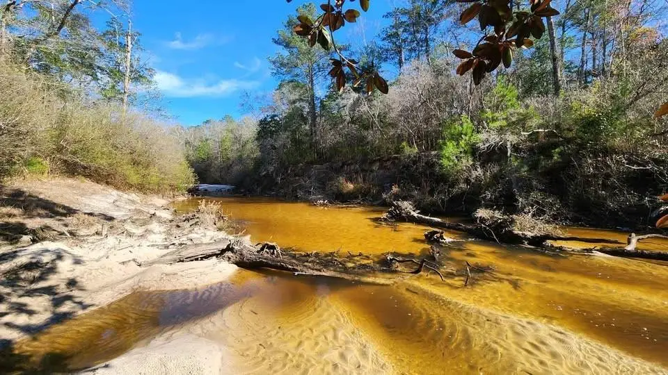 Address Withheld By Seller, Eight Mile, AL 36613 - Image #1