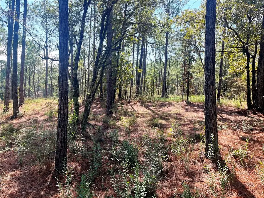 0 State Highway 225, Bay Minette, AL 36507 - Image #3