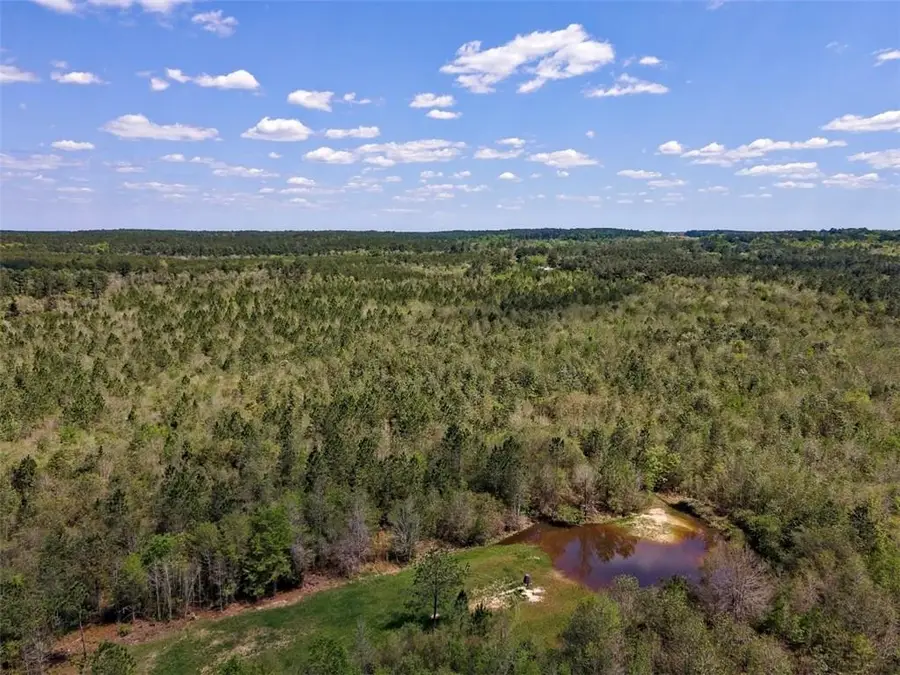 1515 Antioch Church Road, Millry, AL 36558 - #3