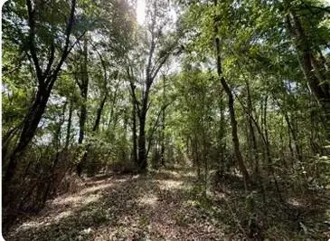 0 Serenity Gardens Road, Theodore, AL 36582