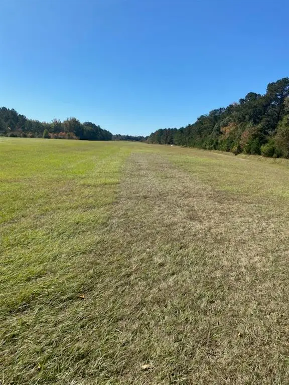 1931 Dead Lake Marina Road, Creola, AL 36525 - Image #2