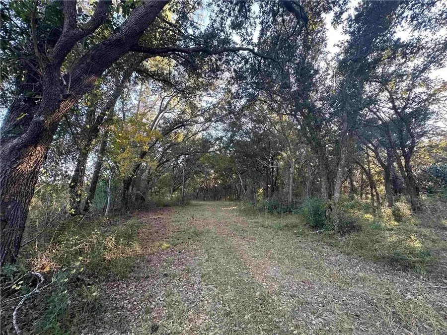 0 Benton Road, Foley, AL 36535 - Image #3