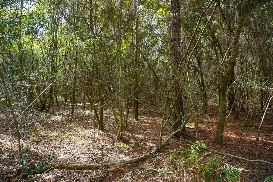 0 Smith Young Road, Mobile, AL 36695 - Image #3