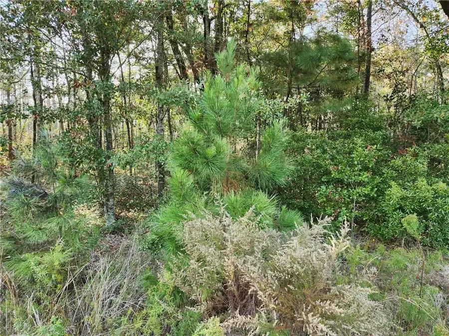 0 Dauphin Island Parkway, Coden, AL 36523 - Image #2