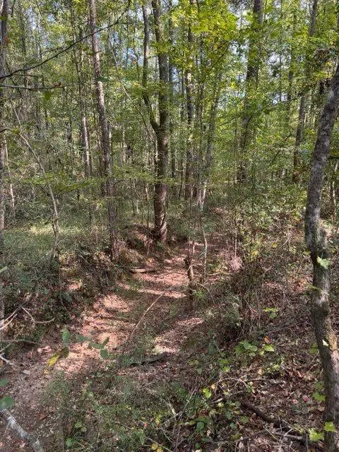 0 County Road 30, Berry, AL 35546