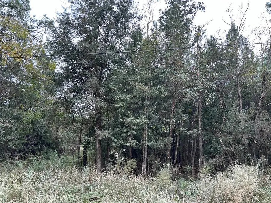 0 Taylor Avenue, Irvington, AL 36544 - Image #2