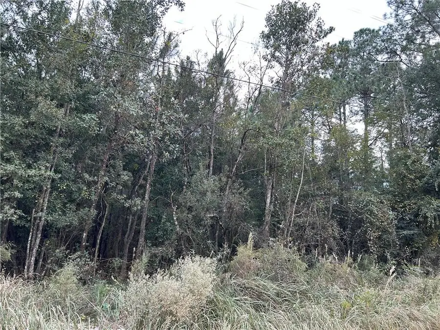 0 Taylor Avenue, Irvington, AL 36544 - Image #3