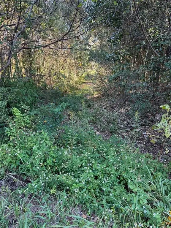 0 Cedar Street, Grand Bay, AL 36541 - Image #2