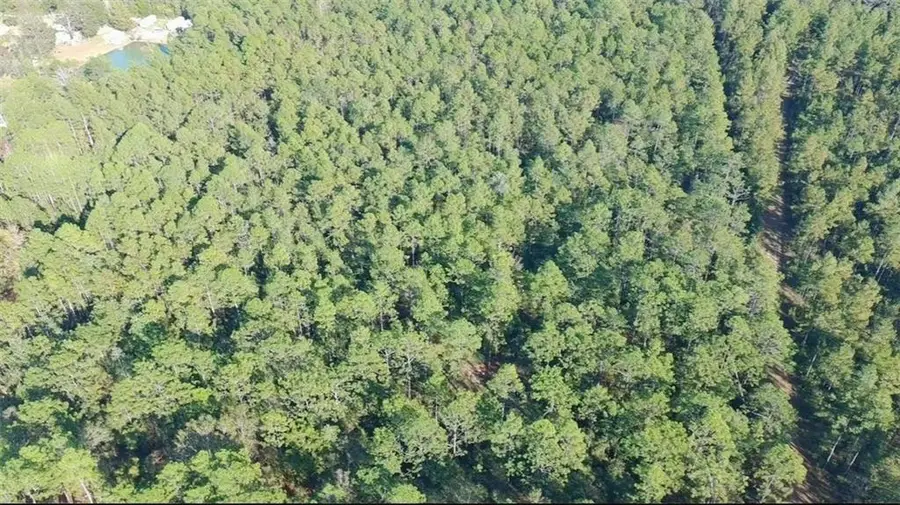 0 Patterson Road, Robertsdale, AL 36567 - Image #2