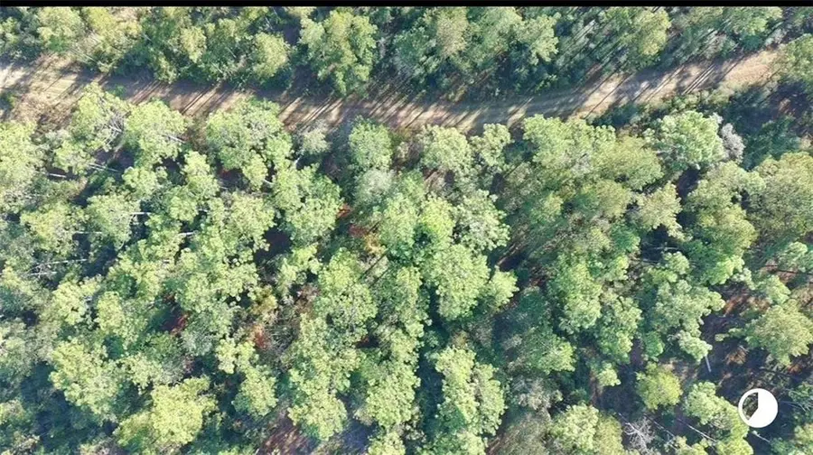 0 Patterson Road, Robertsdale, AL 36567 - Image #3