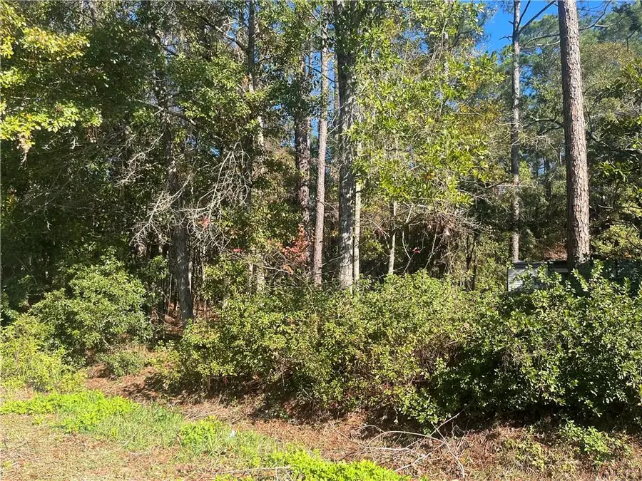 0 Bayou Cypress Drive, Coden, AL 36523 - Image #2