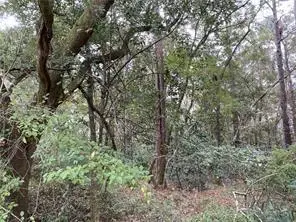 0 Wintzell Avenue N, Bayou La Batre, AL 36509 - Image #2