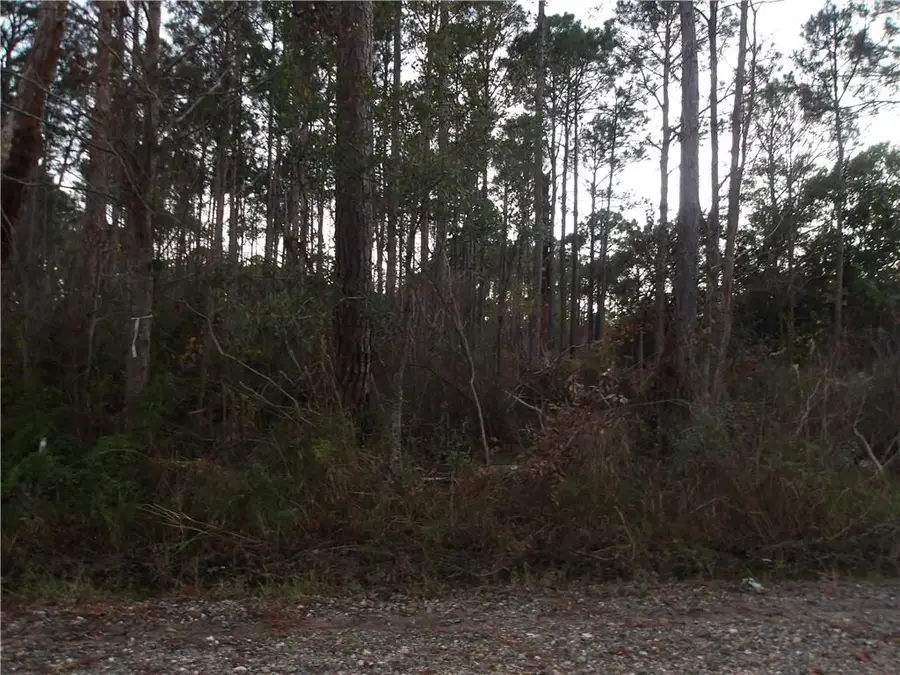 0 Michigan Avenue, Coden, AL 36523 - Image #2