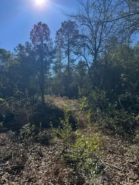 0 C C Trail, Satsuma, AL 36572 - Image #2