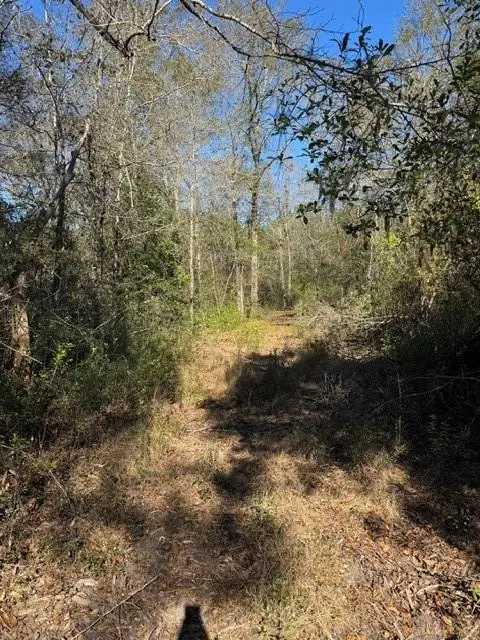 0 C C Trail, Satsuma, AL 36572 - Image #3