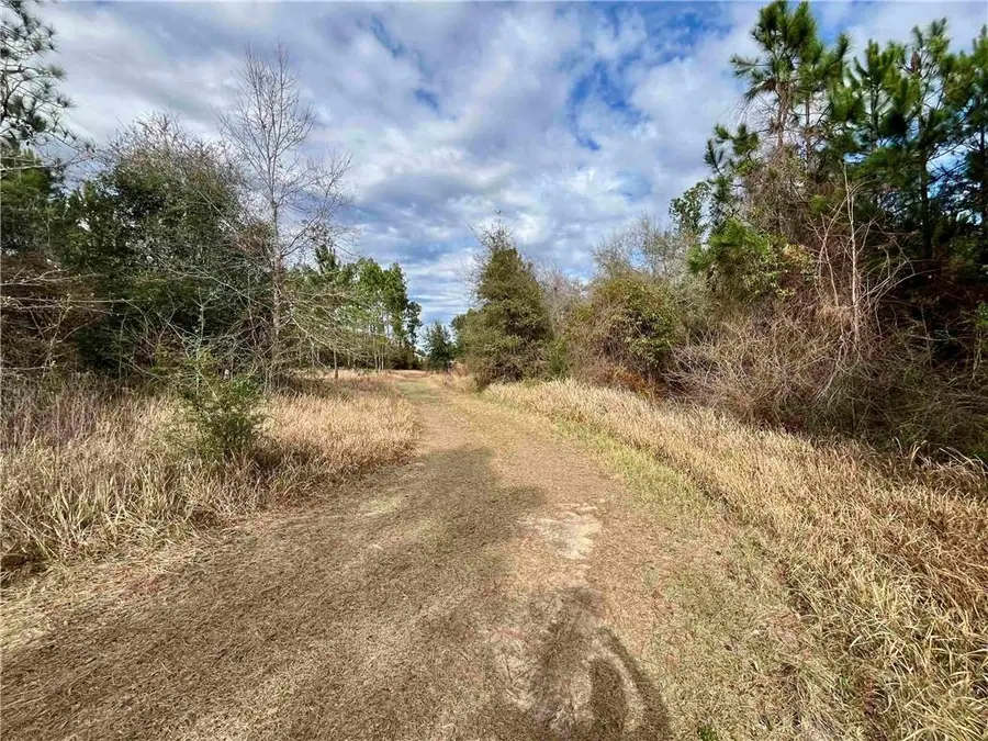 0 Montelucia Way, Daphne, AL 36526 - Image #3