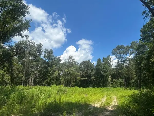 0 Lundy Road, Theodore, AL 36582