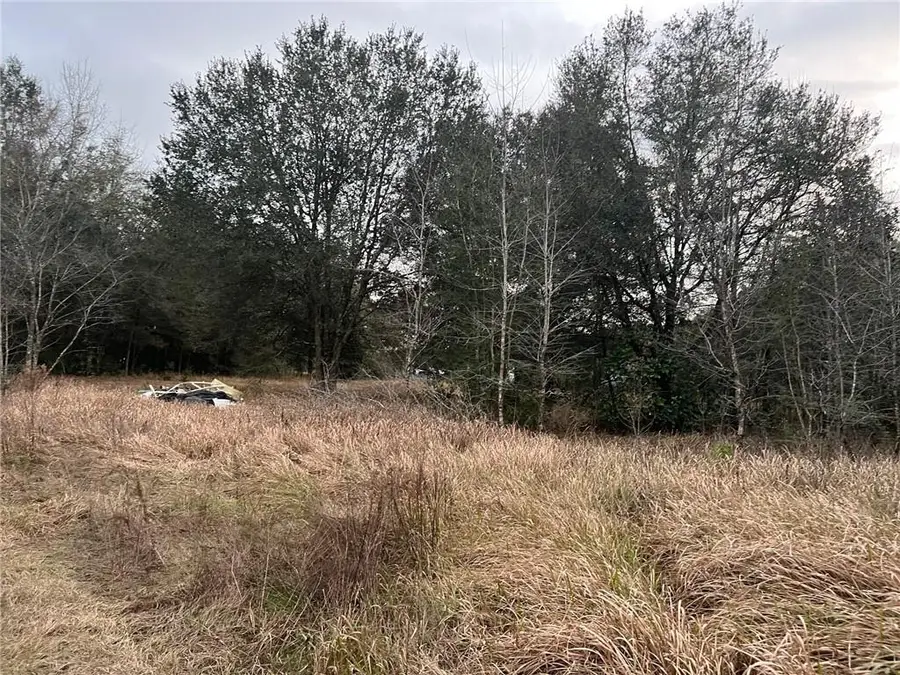 0 Winner Drive, Grand Bay, AL 36541 - Image #2