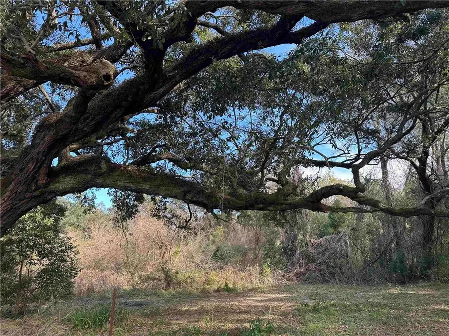 26702 County Road 54 Road, Daphne, AL 36526 - Image #3