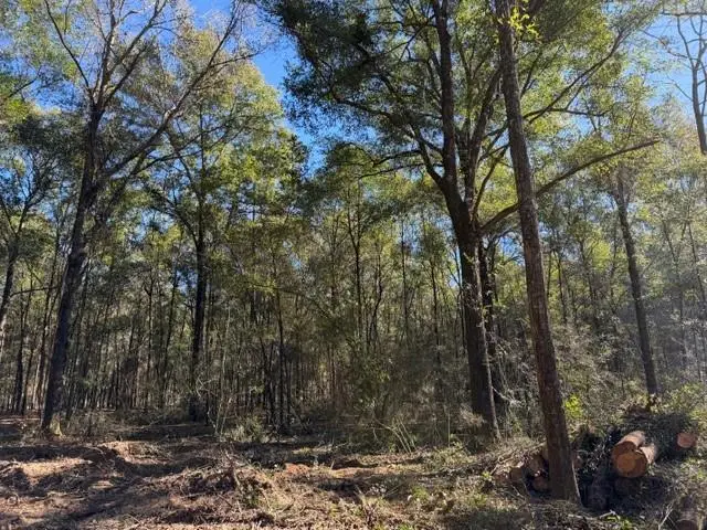 0 Danner Road, Wilmer, AL 36587 - #3