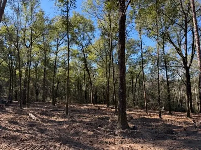 0 Danner Road, Wilmer, AL 36587 - Image #2