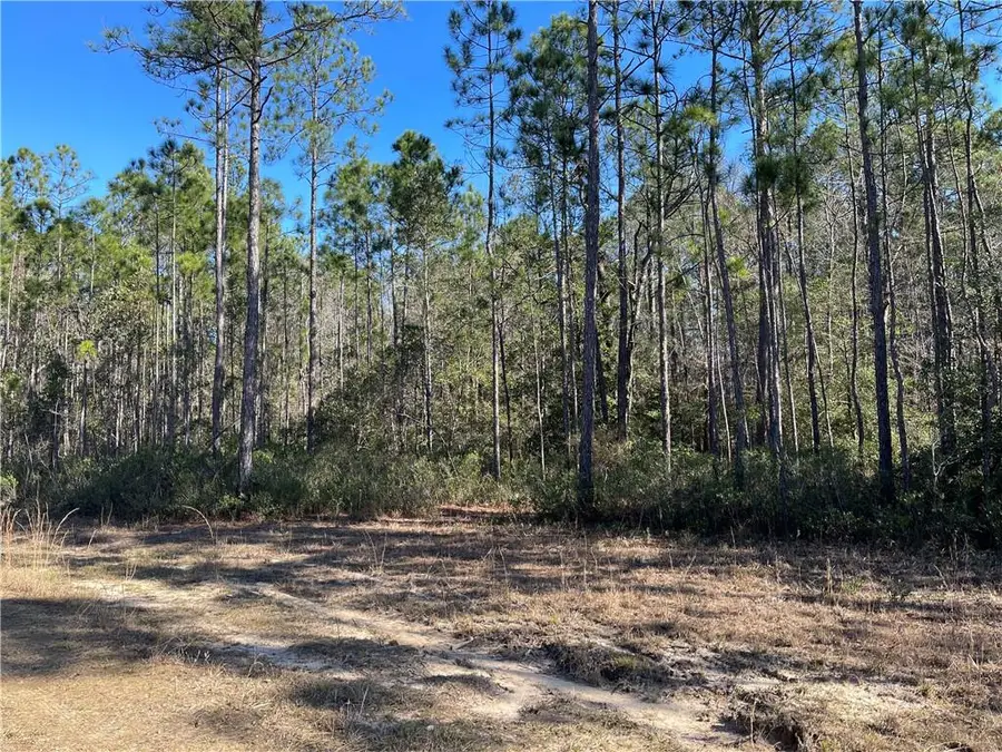 4427 Hawthorne Road, Tibbie, AL 36583 - Image #3