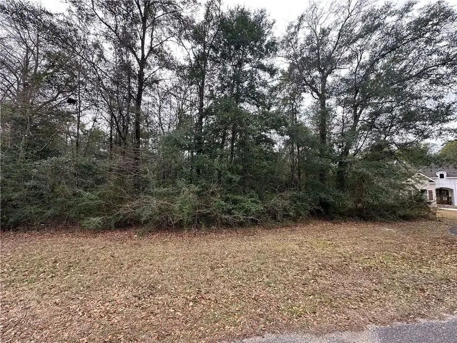 0 Timber Springs Drive, Wilmer, AL 36587 - #3