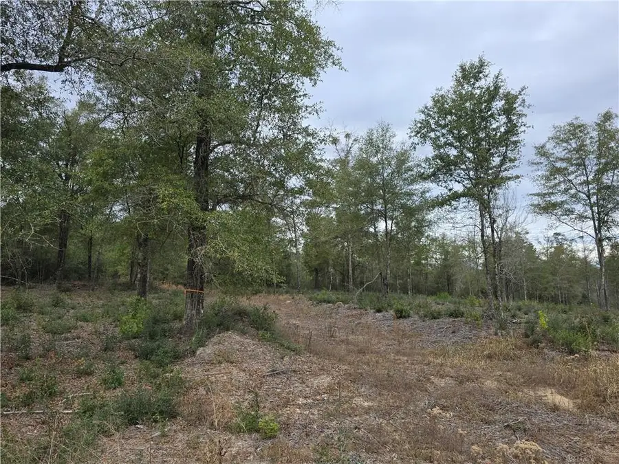 3296 Spartan Drive, Saraland, AL 36571 - Image #3